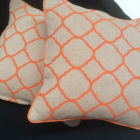 cushion-1